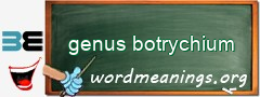 WordMeaning blackboard for genus botrychium